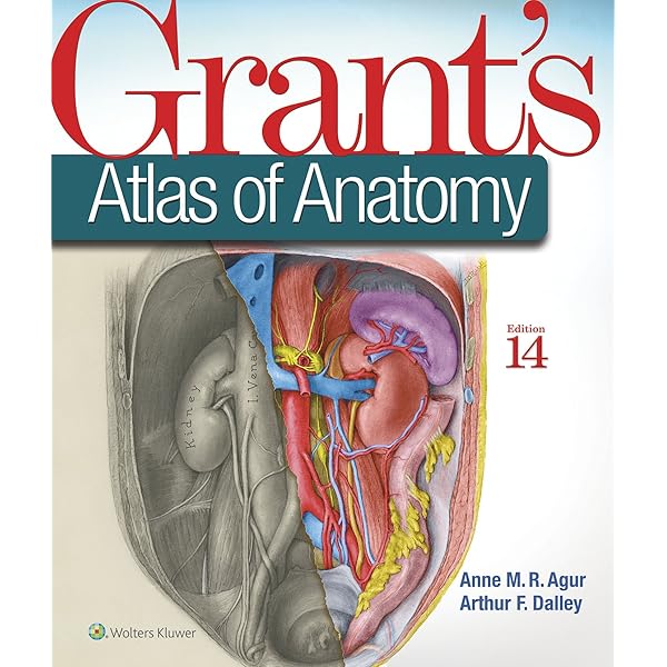 Hand-Atlas of Human Anatomy One-Volume Edition: Spalteholz, Werner